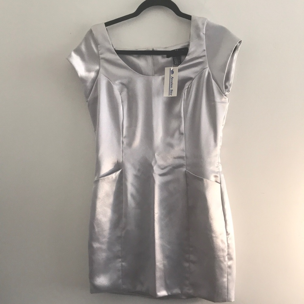 Haiying Snider, Size 4 Metallic Gray 100% Silk Mini Dress